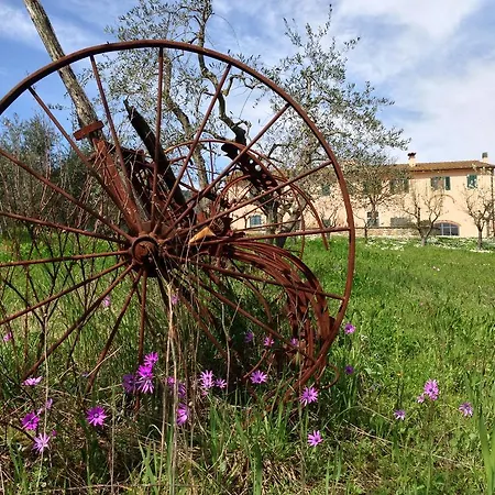 Farm stay Agriturismo La Torricella *