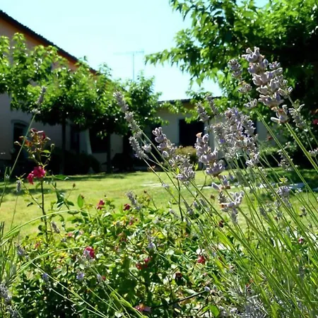 La Torricella ファームステイ *