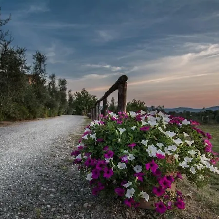 ファームステイ La Torricella