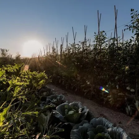 La Torricella ピストイア