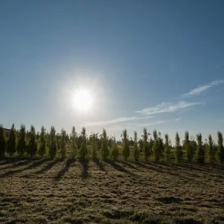 La Torricella * ピストイア