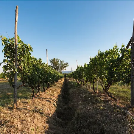 La Torricella ファームステイ ピストイア