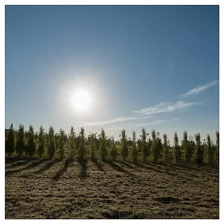 Alloggio per agriturismo La Torricella