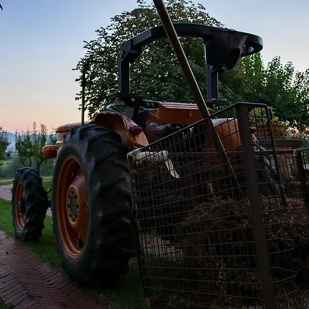 Alloggio per agriturismo La Torricella Pistoia