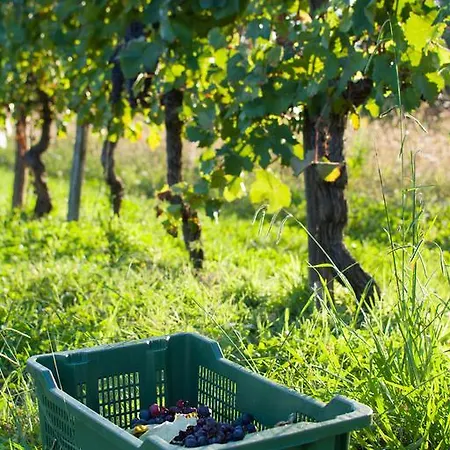 Alloggio per agriturismo La Torricella Pistoia